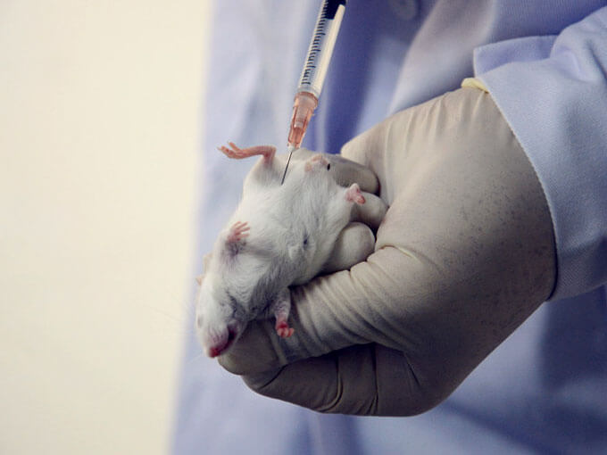 缺乏生物相容性試驗的涂層技術(shù)導(dǎo)致年使用量不足